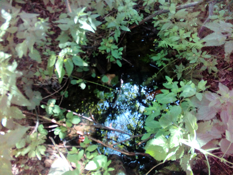 studánka Na Gruni (12798)
