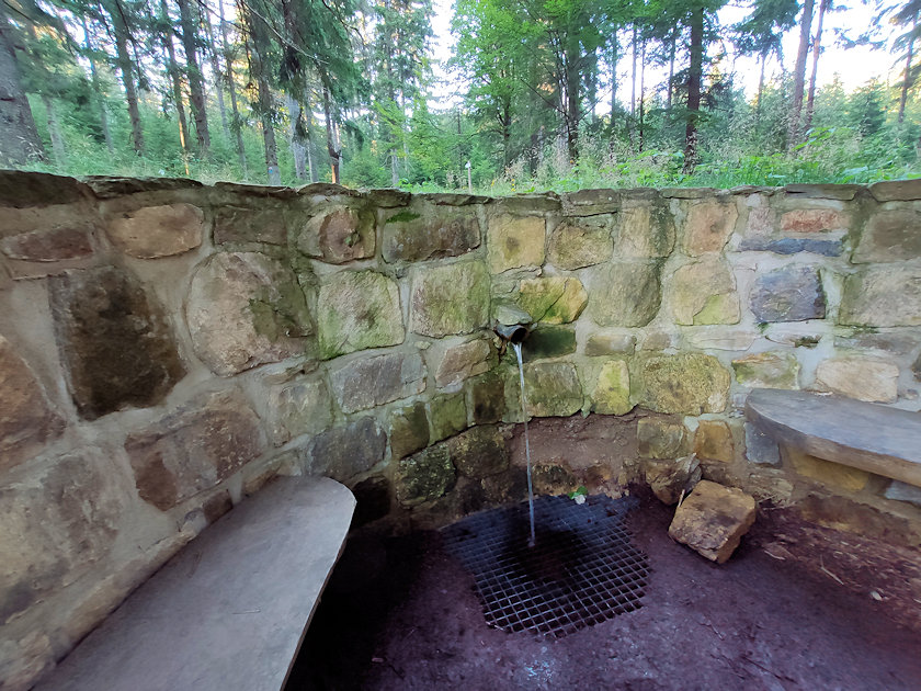 studánka bez jména (12811)