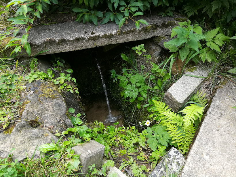 studánka Pod Pejchalovým mlýnem (12816)