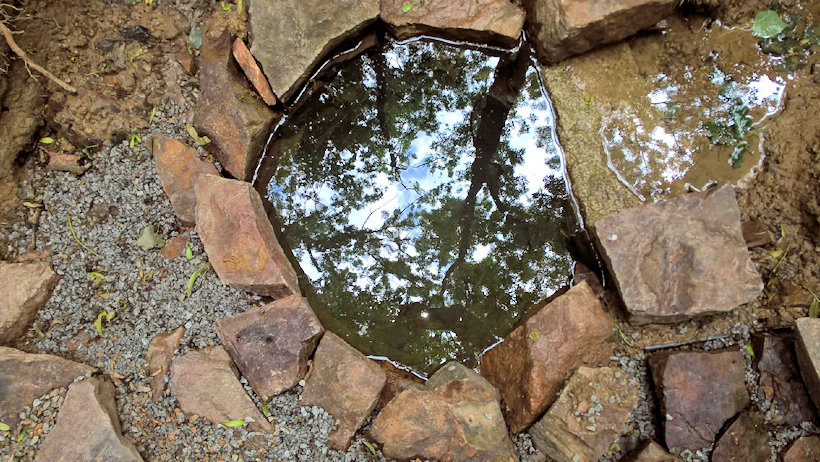 Vechetova studánka (12828)