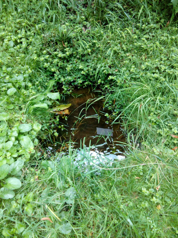 studánka U včelína (12829)