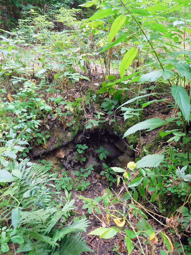 jiný vodní zdroj Oharka (12842)