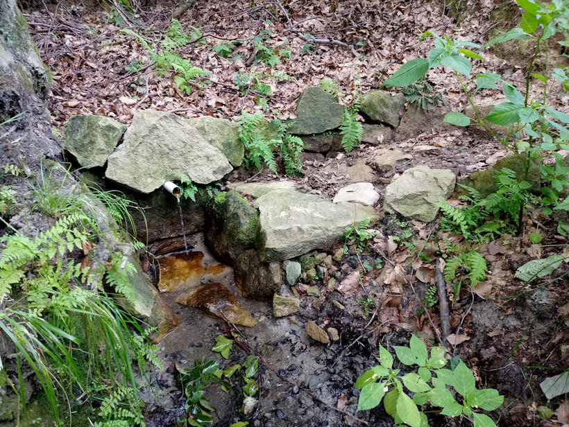 studánka Pod bukem (12851)