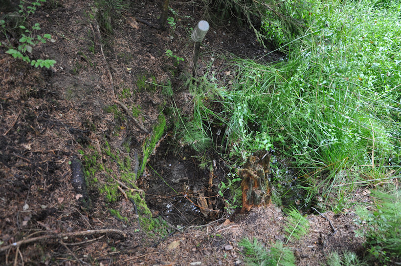 studánka V koloví (12860)