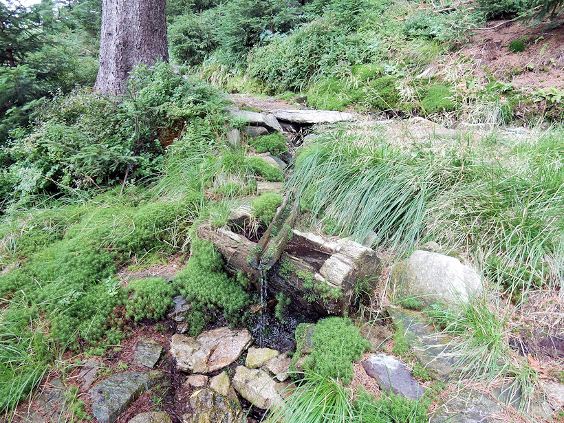 studánka U Šindelky 2 (12873)