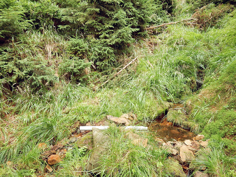 studánka U Šindelky 3 (12874)