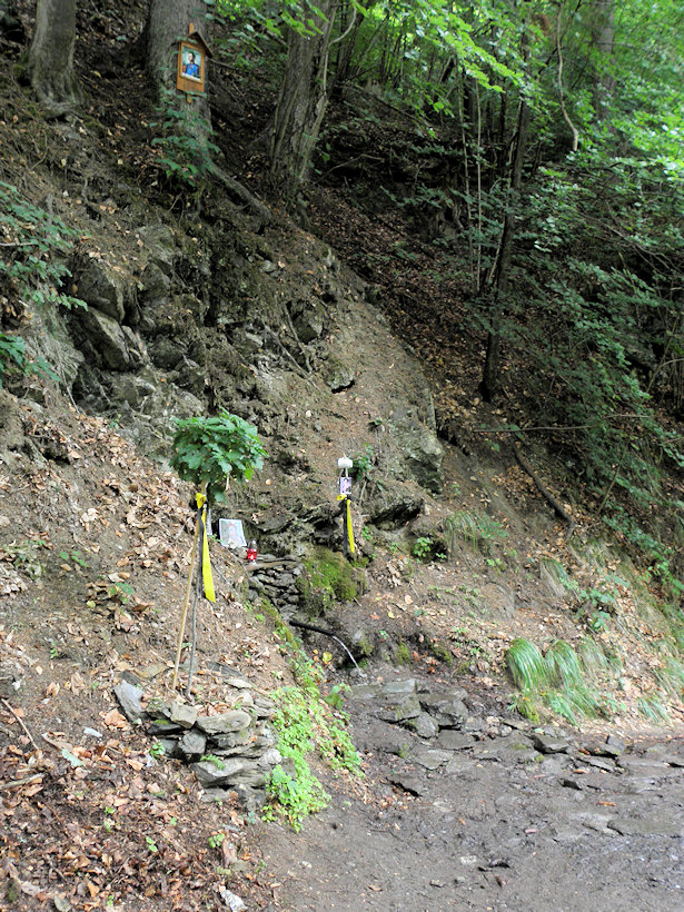 studánka Pramen císaře Karla I (12903)