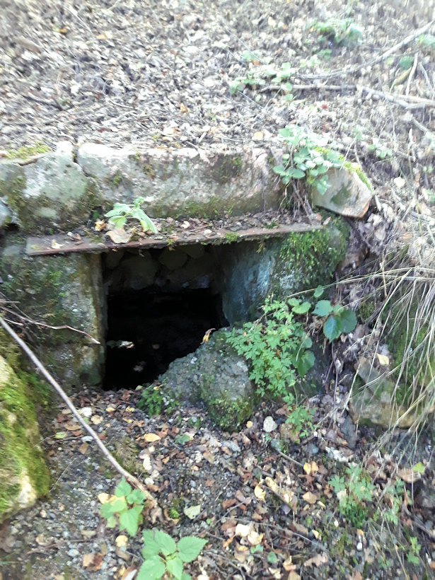 Křtitelní studánka  (12919)