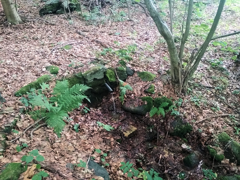 studánka U chaty (12923)