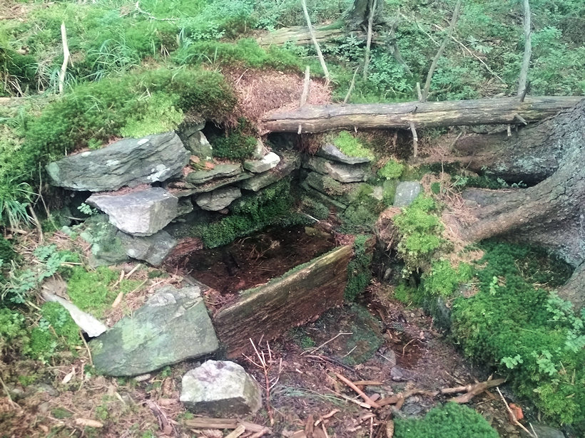 studánka bez jména (12924)