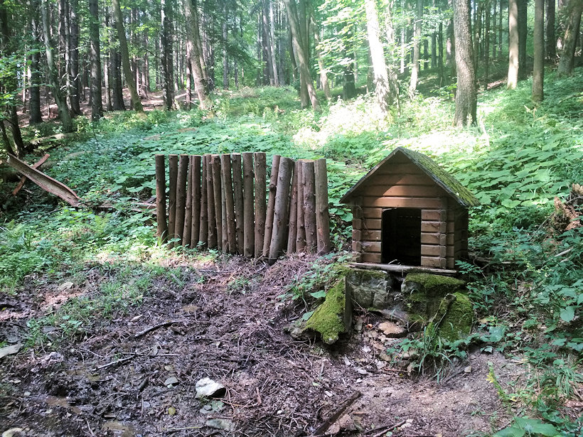 studánka bez jména (12925)