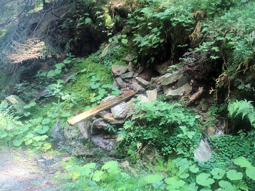 studánka U Jelení boudy (12926)