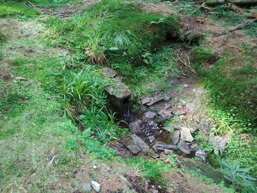 studánka Jelení palouk (12927)