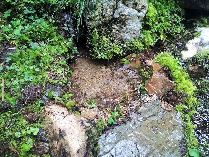 studánka bez jména (12929)