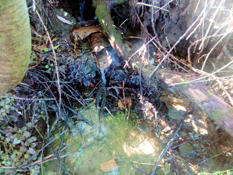 studánka V Úbočí (12940)