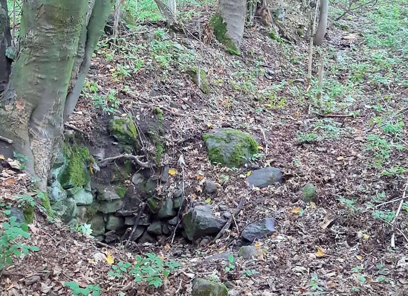 studánka Jiří (12944)