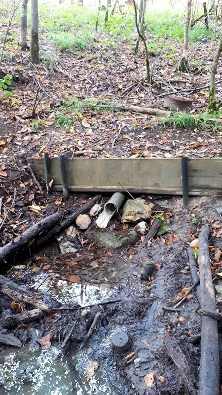 studánka Svatojánský pramen (12958)