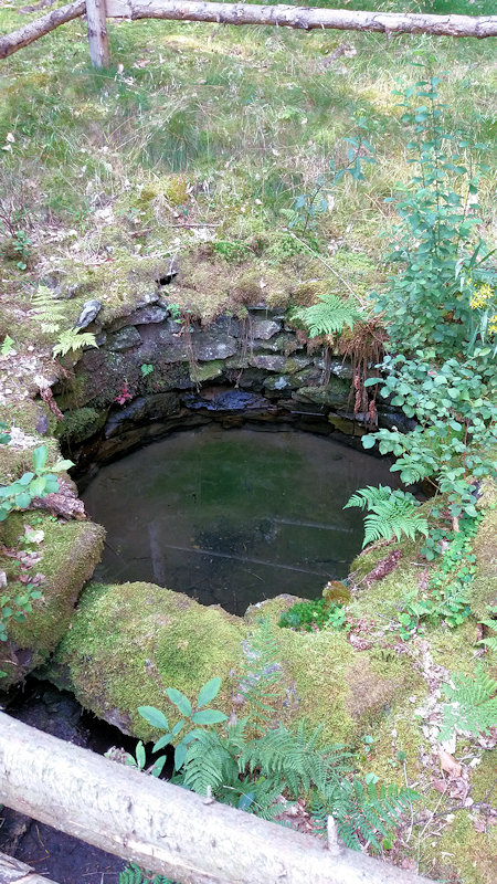 studánka Evina (12959)