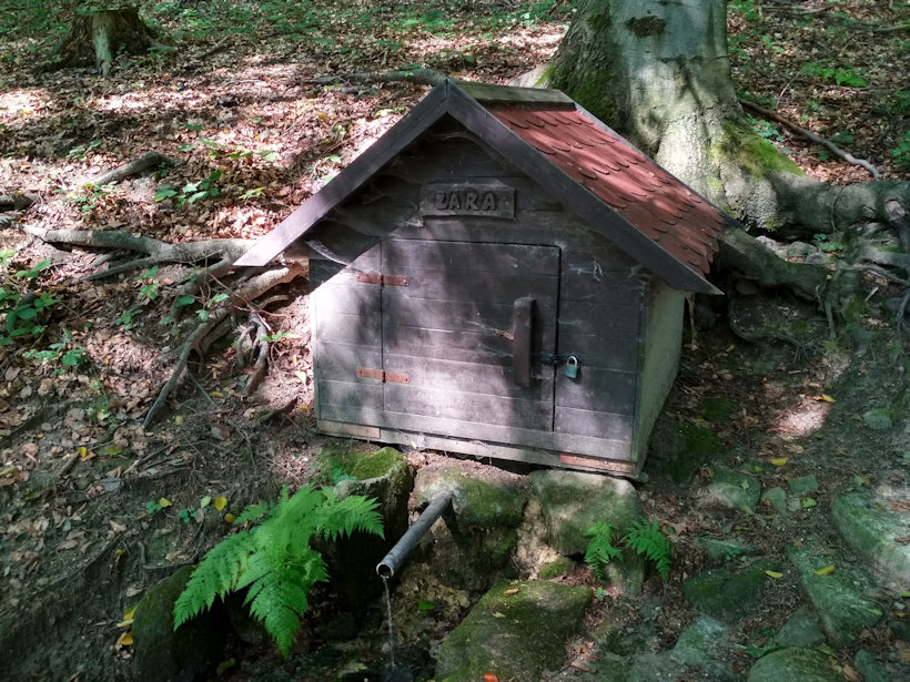studánka Žára (12966)