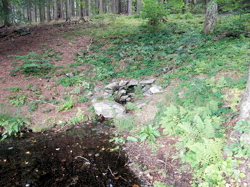 studánka U rybníčka (12971)