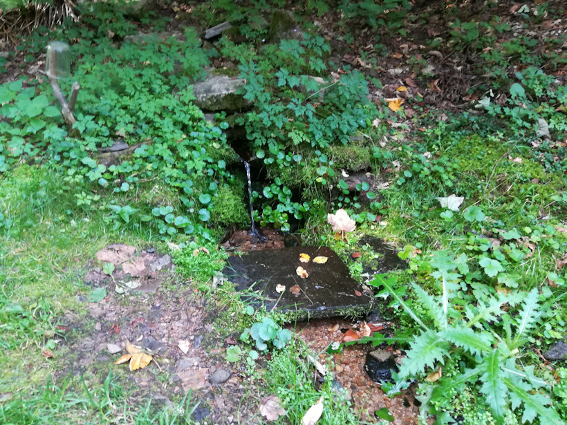 studánka Vlčí důl (12974)