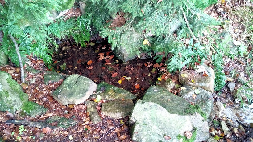 studánka Pod Kletí (12988)