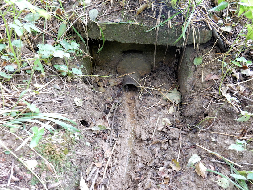studánka V Hájích 1 (12994)