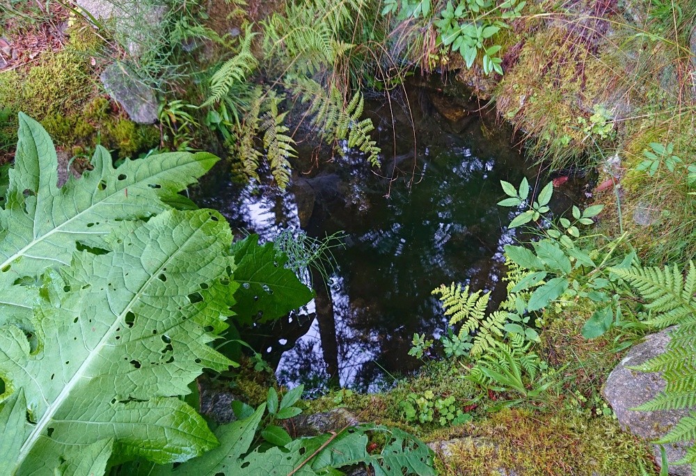 studánka U nory (13015)