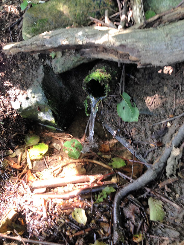 studánka bez jména (13025)