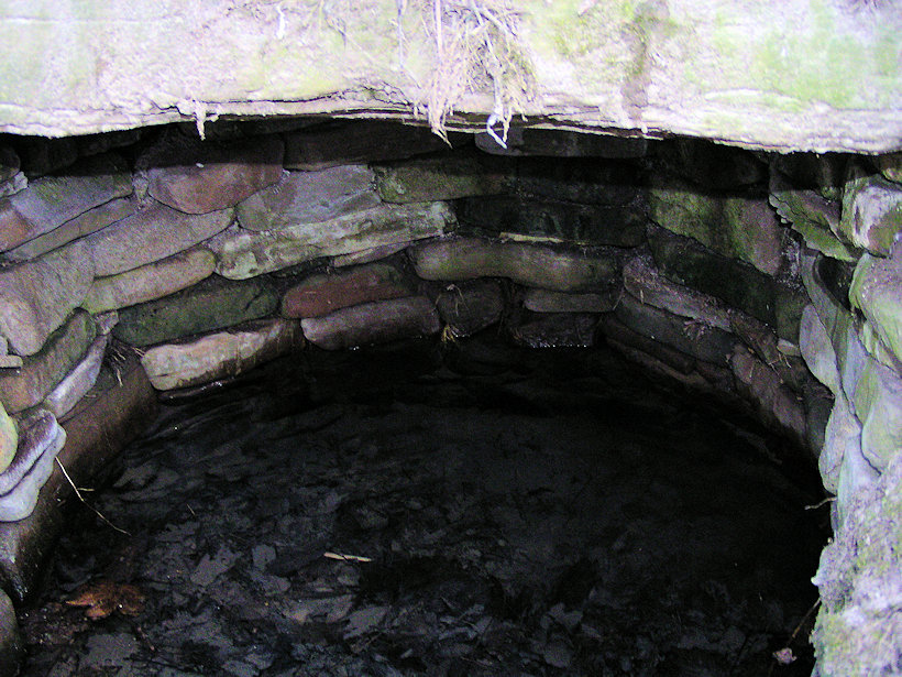 studánka Napoleonova (13026)