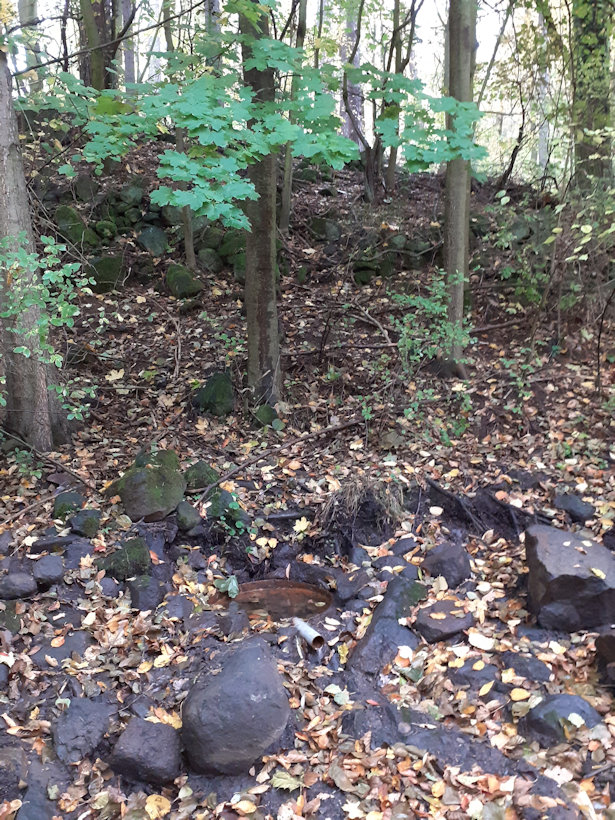 Doubská studánka (13028)