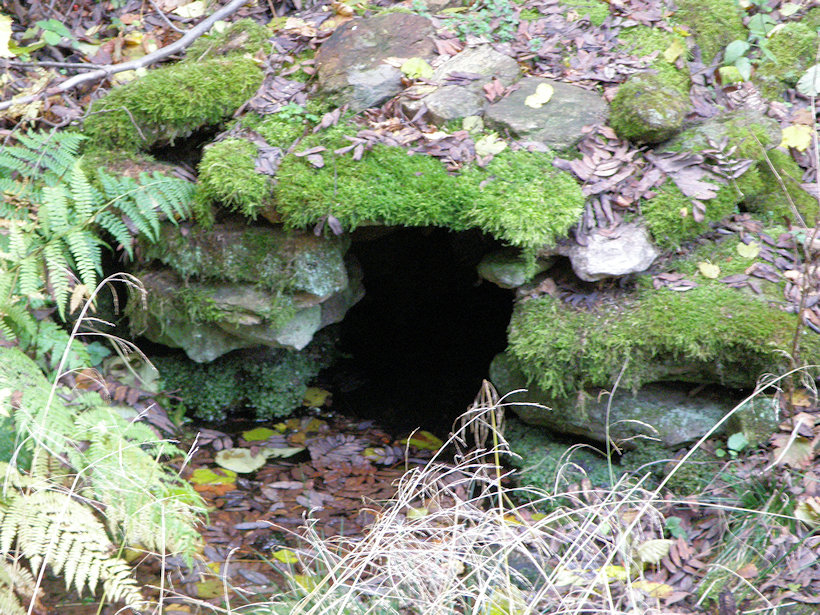Selská studánka (13037)