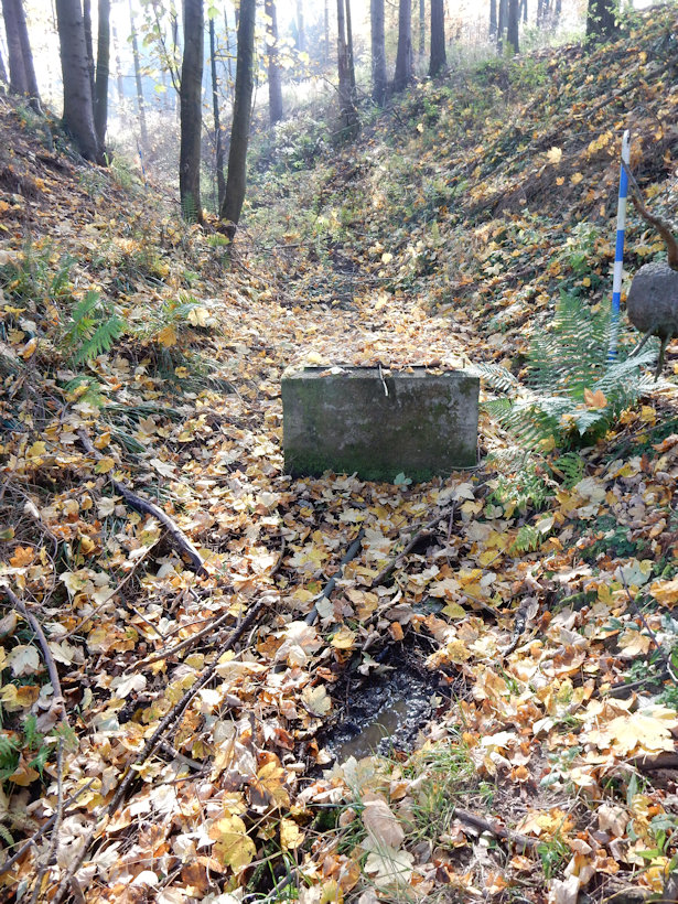 studna U dolu (13045)