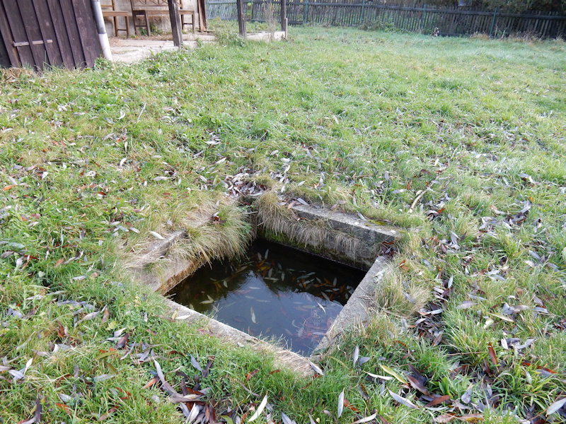 studánka U čísla 220 (13060)