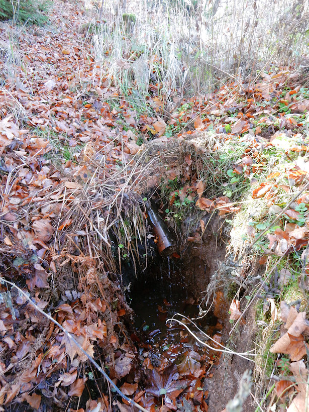 studánka Pod Vartou (13064)