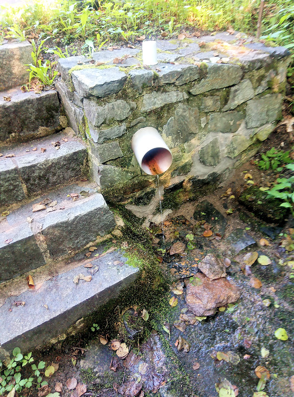 Tomlejnova studánka (13069)