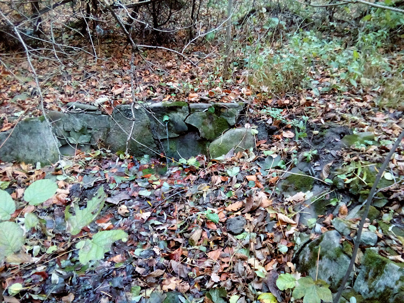 studánka U Lištnice (13070)