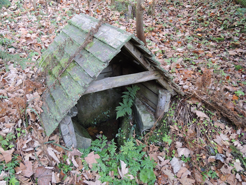 studánka bez jména (13076)