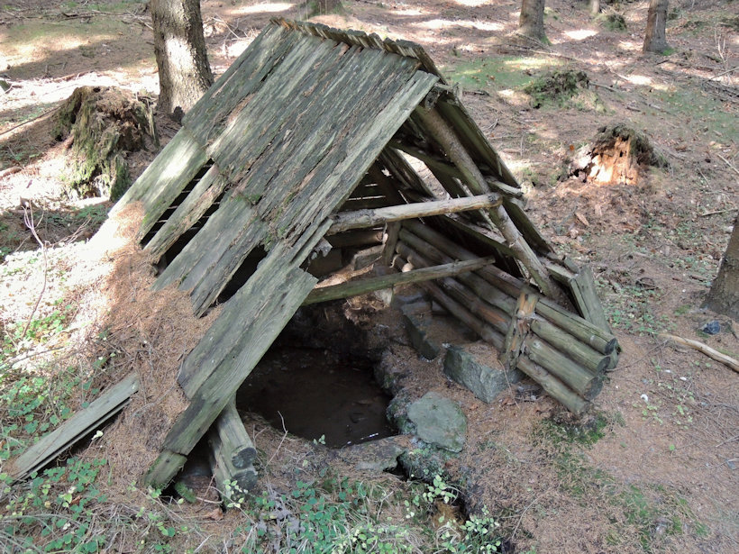 studánka bez jména (13077)