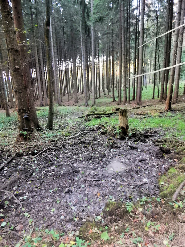 prameniště Pod Třemi kapličkami (13081)