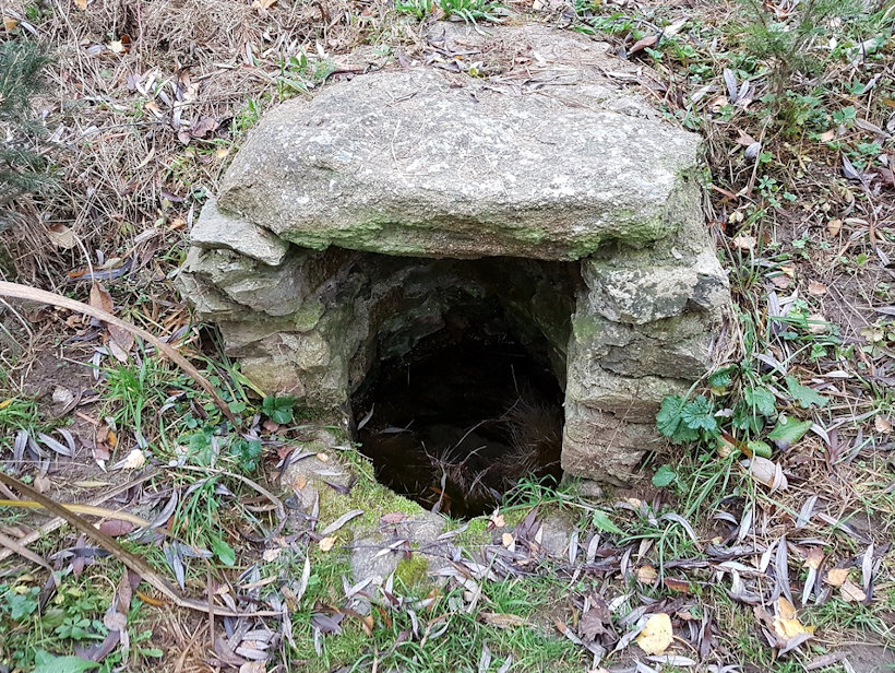 studánka bez jména (13084)