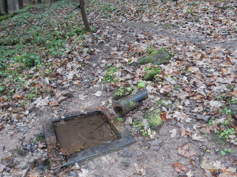 studánka Mariánský pramen 2 (13088)