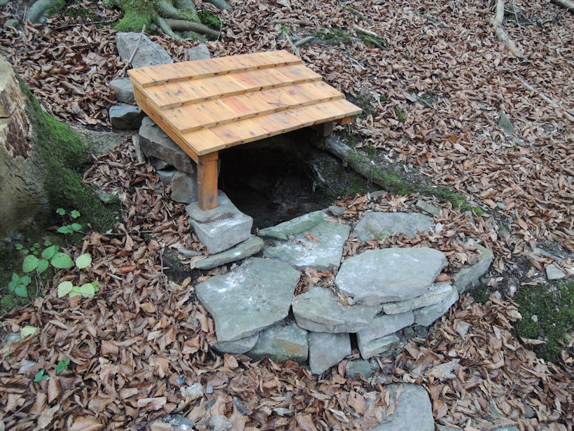 studánka Pod Kaluží (13094)