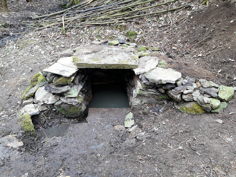 Pantátova studánka (13098)