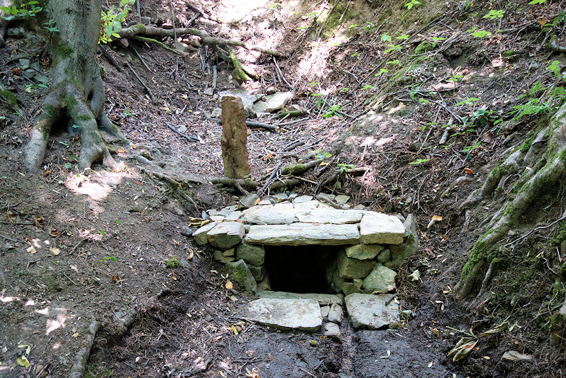Javorová studánka (13100)