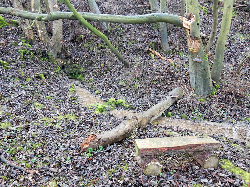 studánka V Bažantnici (13101)
