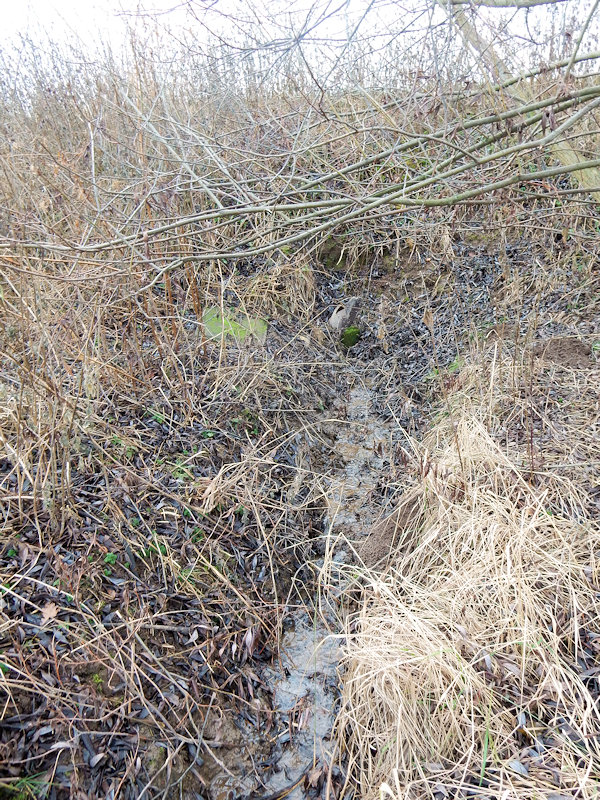 studánka U Kabátu 2 (13102)