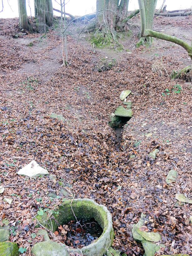 studánka Pod Chlumem (13103)
