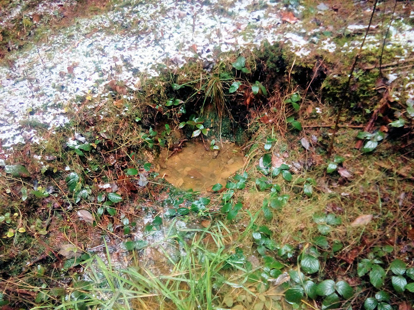 studánka Nad Kostkovem (13107)