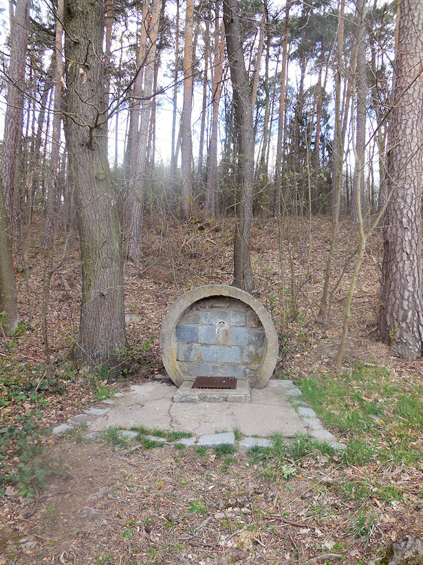 Svojšický pramen (13108)